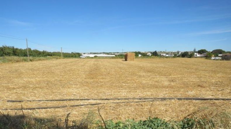 Cádiz - Conil de la Frontera - 22000m2