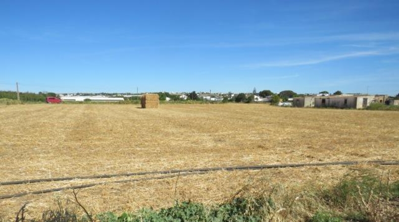 Cádiz - Conil de la Frontera - 22000m2