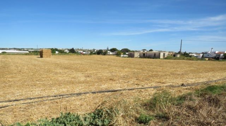 Cádiz - Conil de la Frontera - 22000m2