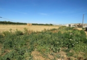 Land suitable for development for sale on España, Conil de la Frontera, ref: TR403498 photo
