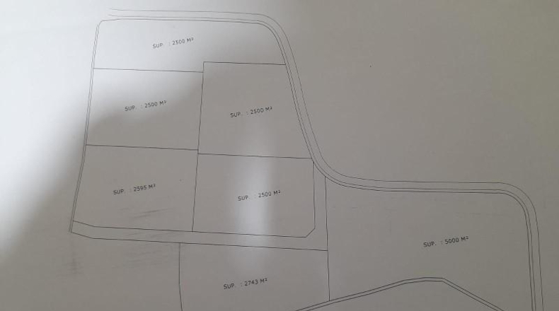 Cádiz - Conil de la Frontera - 22000m2
