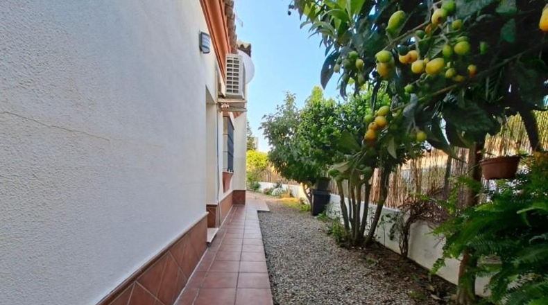 Cádiz - Chiclana de la Frontera - 555m2