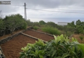 Casa de campo con terreno en venta en la España, Mazo, ref: TR403520 foto