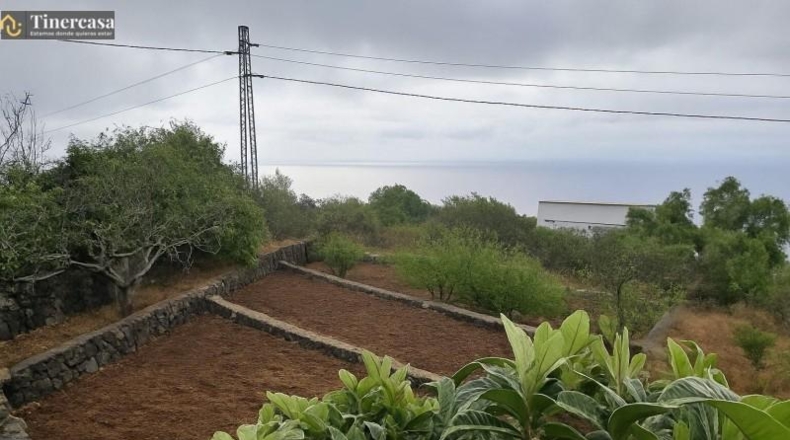 Santa Cruz de Tenerife - Мальпаисес (Арриба) - 3000m2