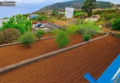 Casa de campo con terreno en venta en la España, Mazo, ref: TR403520 foto