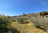 Casa de camp amb terreny en venda a la España, Mazarrón, ref.: TR405120 foto