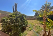 Casa de camp amb terreny en venda a la España, Mazarrón, ref.: TR405120 foto