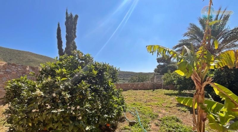 Murcia - Mazarrón - 1543m2
