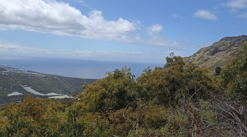 Santa Creu de Tenerife - Tijarafe - 1026m2