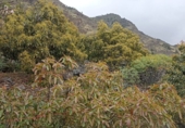 Casa de poble en venda a El Pueblo ref.: TR403238 foto