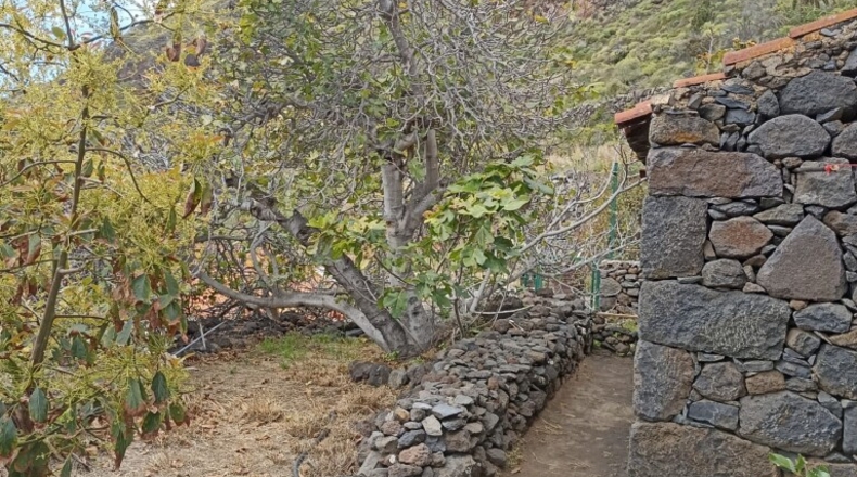 Santa Creu de Tenerife - Tijarafe - 1026m2
