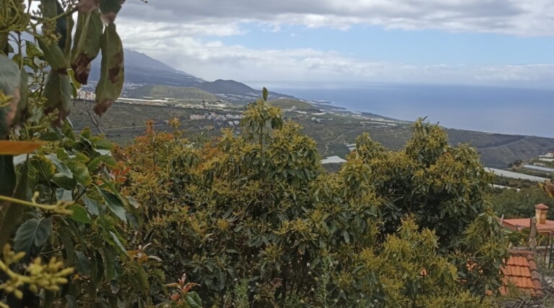 Santa Creu de Tenerife - Tijarafe - 1026m2