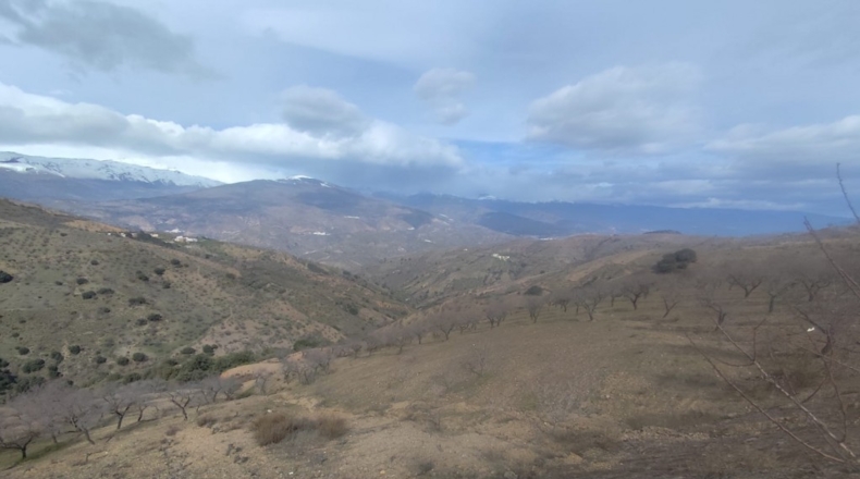 Granada - Cástaras - 27144m2