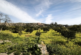 Gádor 8016&nbsp;m² 