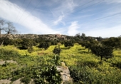 Terreno no urbanizable en venta en Gádor ref: TR403117 foto