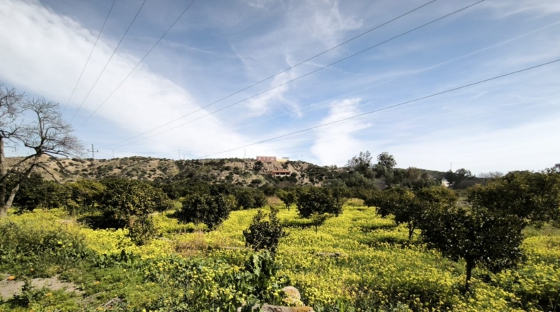 Almería - Gádor - 8016m2