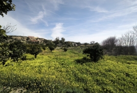 Gádor 8016&nbsp;m² 