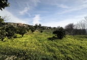 Terreno no urbanizable en venta en Gádor ref: TR403117 foto