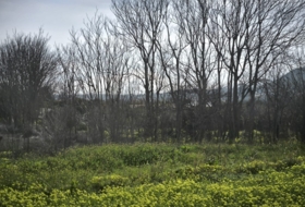 Gádor 8016&nbsp;m² 