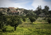 Terreno no urbanizable en venta en Gádor ref: TR403117 foto