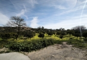 Terreno no urbanizable en venta en Gádor ref: TR403117 foto