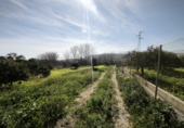 Terreno no urbanizable en venta en Gádor ref: TR403117 foto