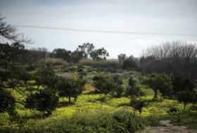 Gádor 8016&nbsp;m² 