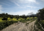 Terreno no urbanizable en venta en Gádor ref: TR403117 foto