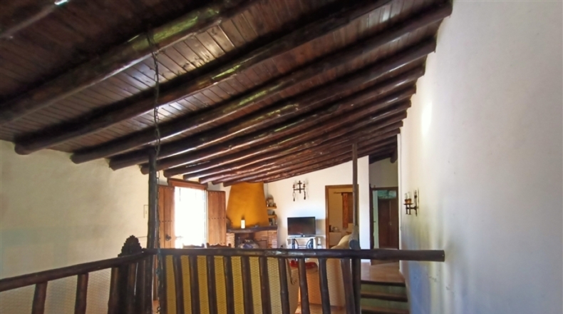 Málaga - Algatocín - 35000m2