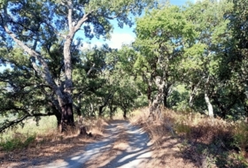 Algatocín 35000&nbsp;m² 