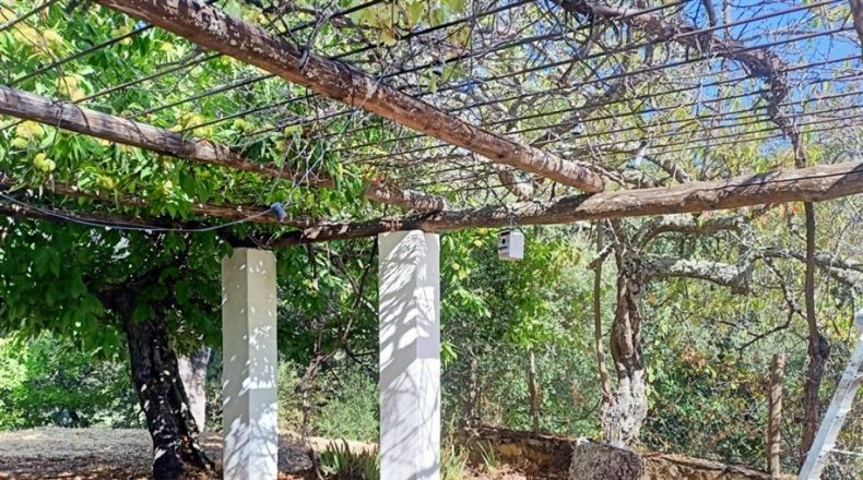 Málaga - Algatocín - 35000m2