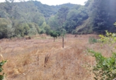 Masía con terreno en venta en Genalguacil ref: TR405116 foto