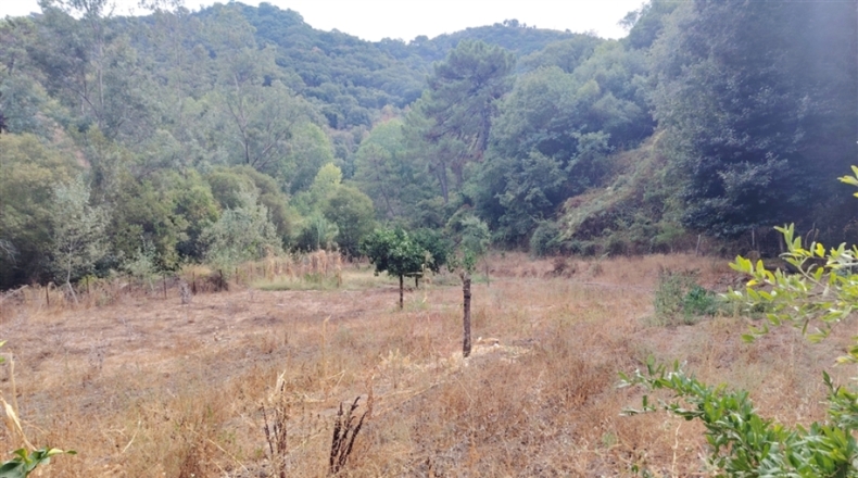 Málaga - Genalguacil - 230000m2