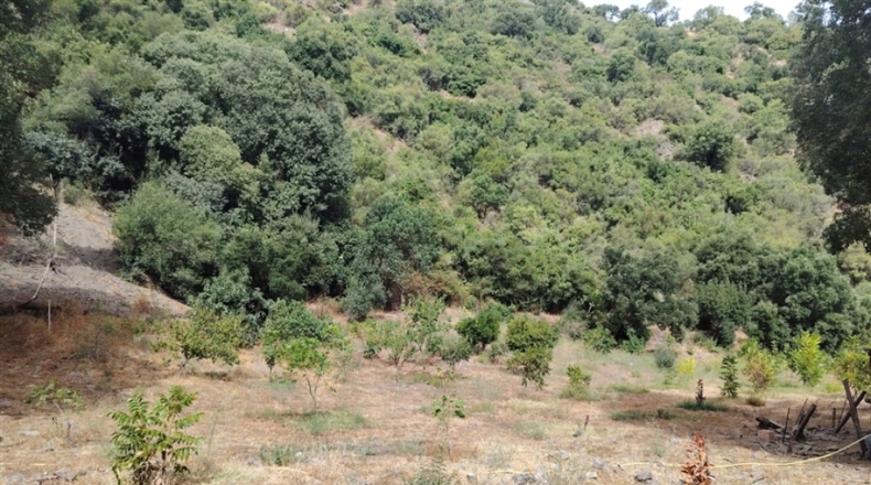Málaga - Genalguacil - 230000m2