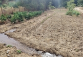 Masía con terreno en venta en Genalguacil ref: TR405116 foto