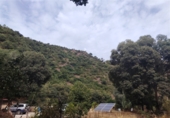 Masía con terreno en venta en Genalguacil ref: TR405116 foto