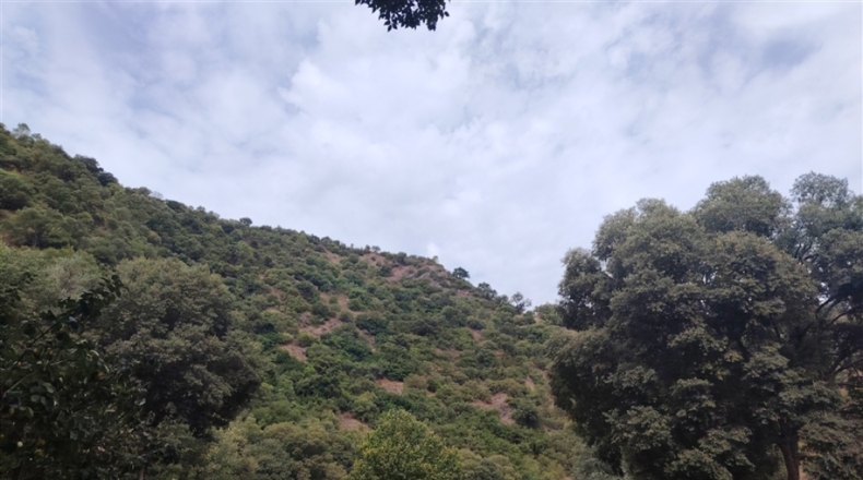 Málaga - Genalguacil - 230000m2