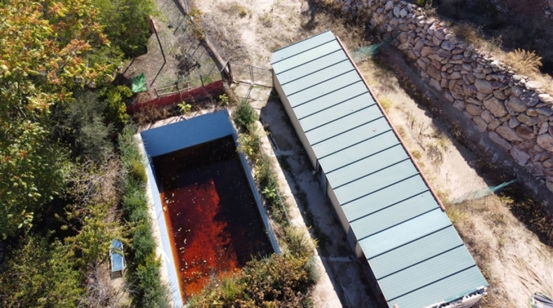 Малага - El Burgo - 35000m2