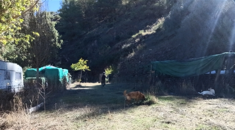 Малага - El Burgo - 35000m2