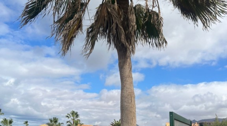 Las Palmas - Pájara - 55m2