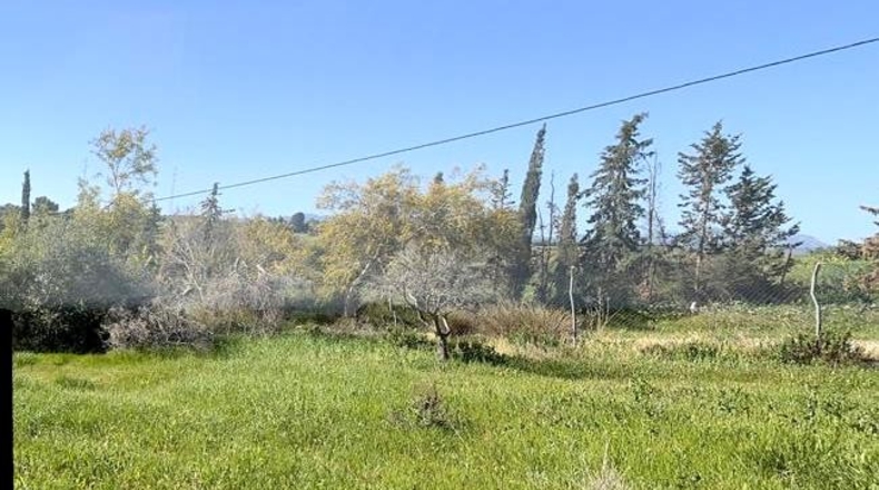 Málaga - Cártama - 5043m2