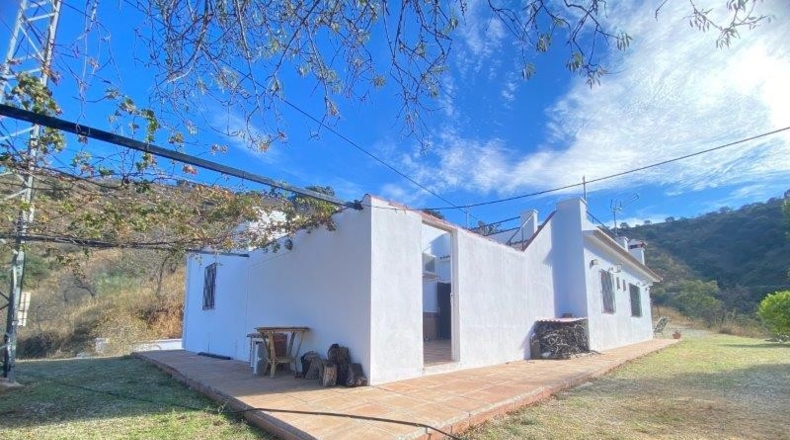 Málaga - Málaga - 26000m2