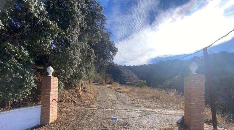 Málaga - Málaga - 26000m2