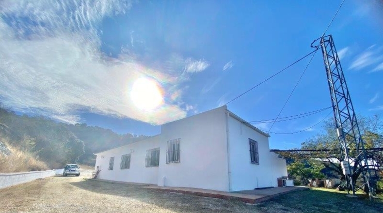 Málaga - Málaga - 26000m2