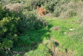 Estepona 938&nbsp;m² 