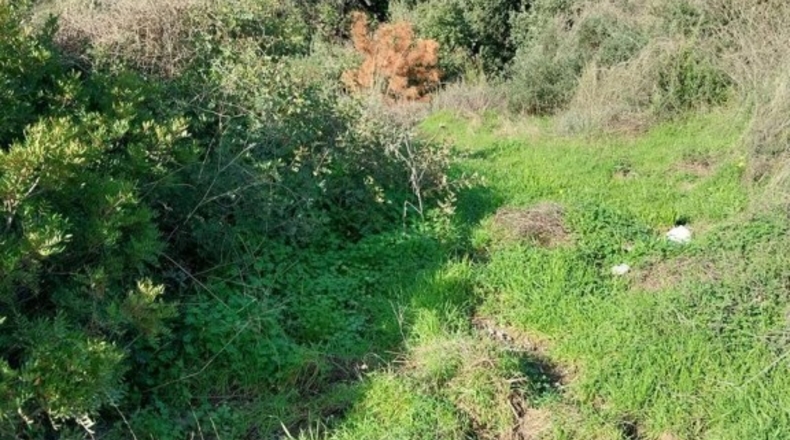 Málaga - Estepona - 938m2