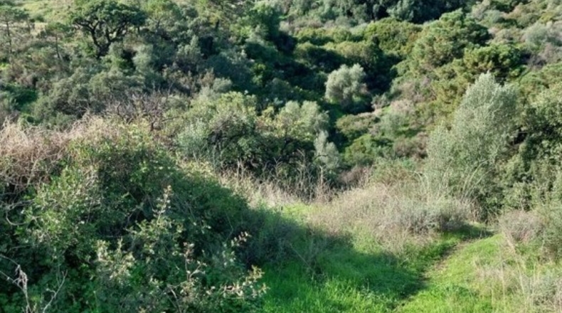 Málaga - Estepona - 938m2