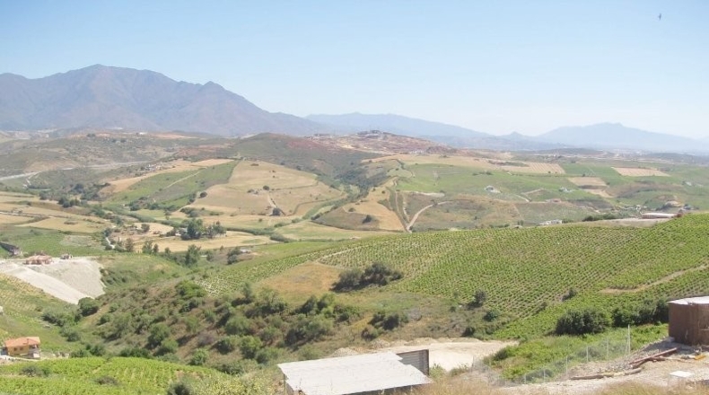 Málaga - Manilva - 2000m2