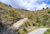 Non-developable land for sale on España, La Herradura, ref: TR356343 photo
