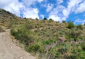 Non-developable land for sale on España, La Herradura, ref: TR356343 photo